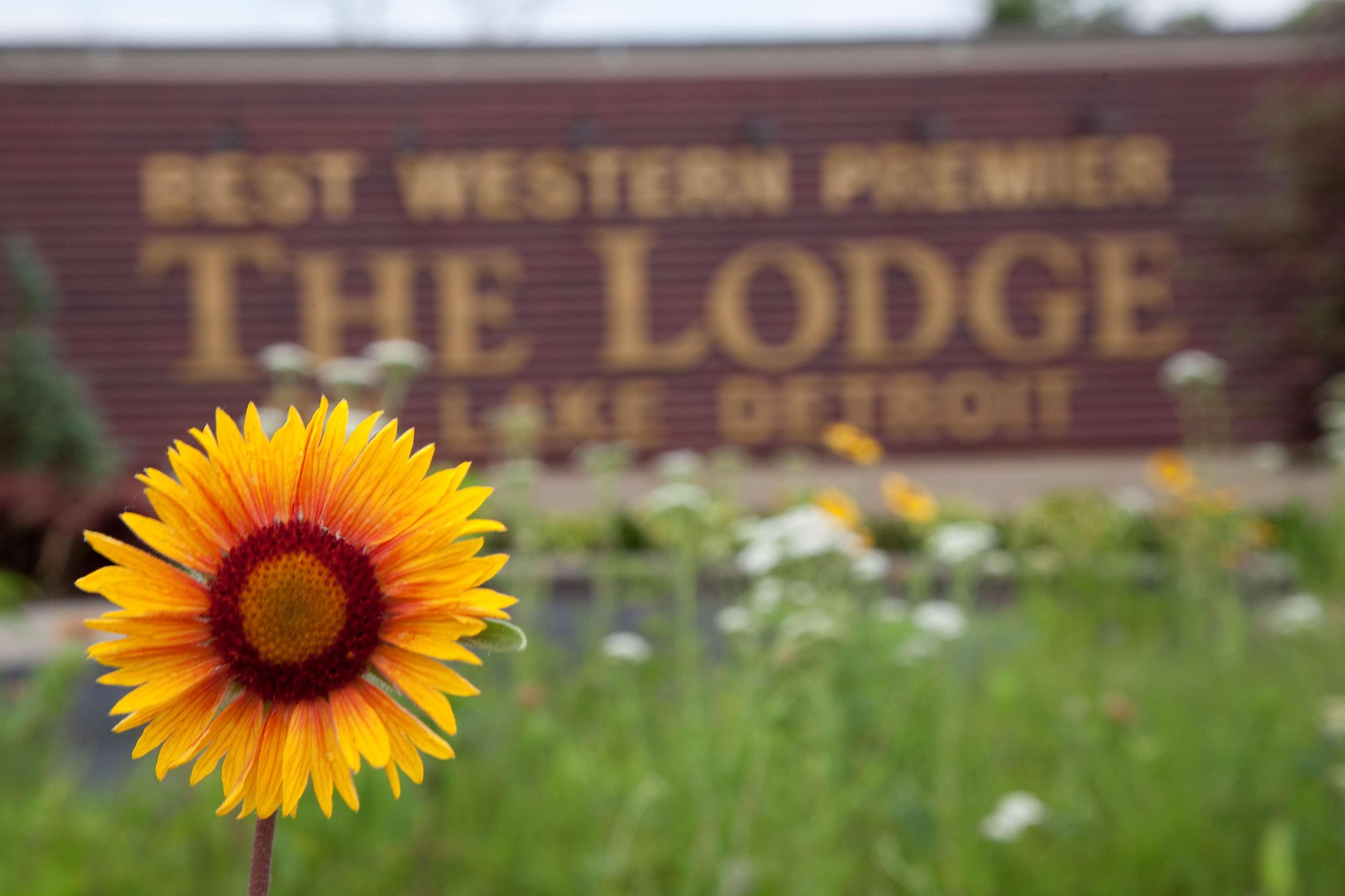 Best Western Premier The Lodge On Lake Detroit Детройт-Лейкс Экстерьер фото